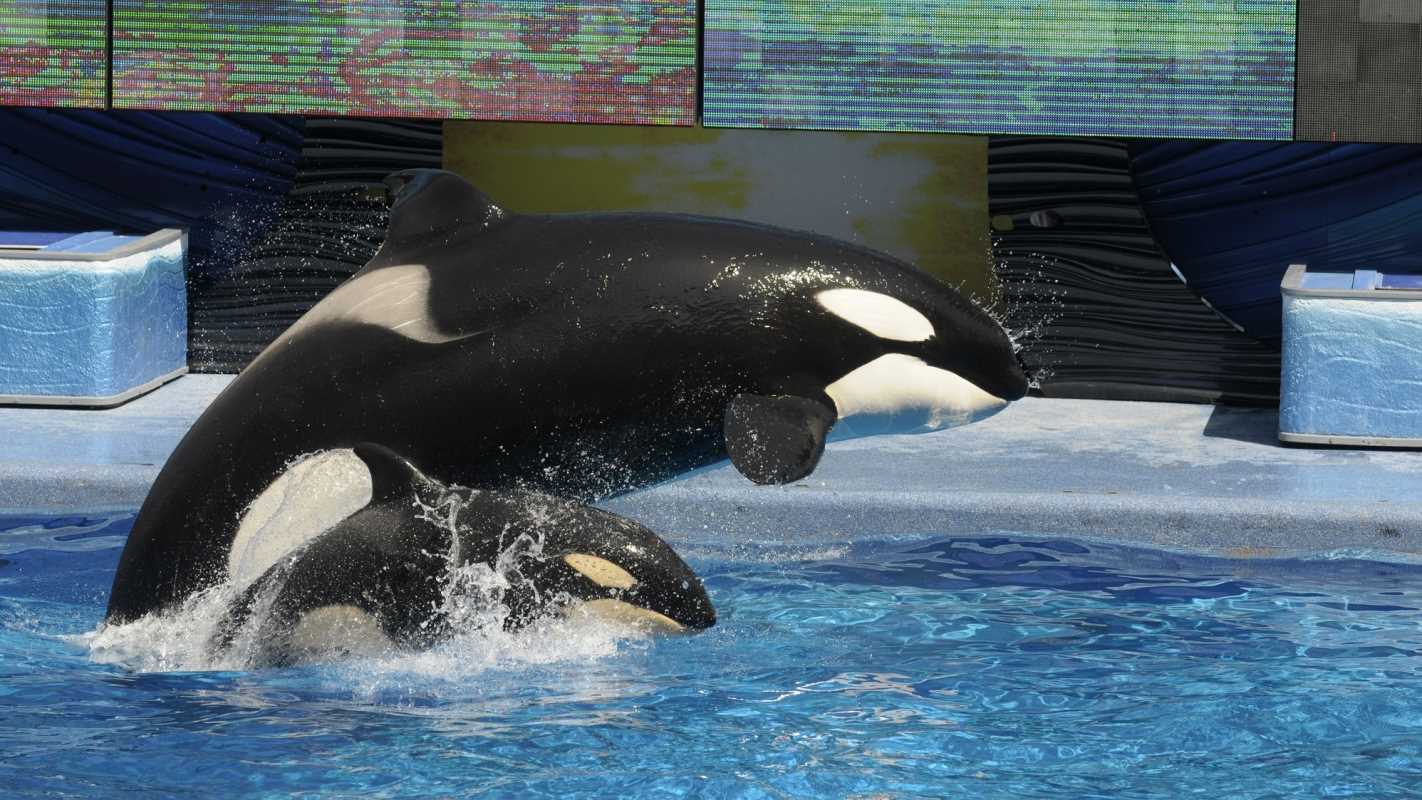 Viral Streaming Documentaries That Are Powering Social Movements